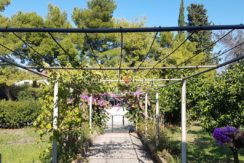 Brac building plot with house for sale 4 (Kopiraj)