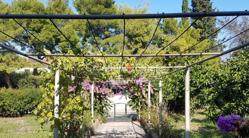 Brac building plot with house for sale 4 (Kopiraj)