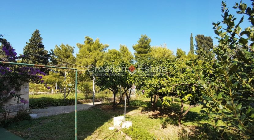 Brac building plot with house for sale 5 (Kopiraj)